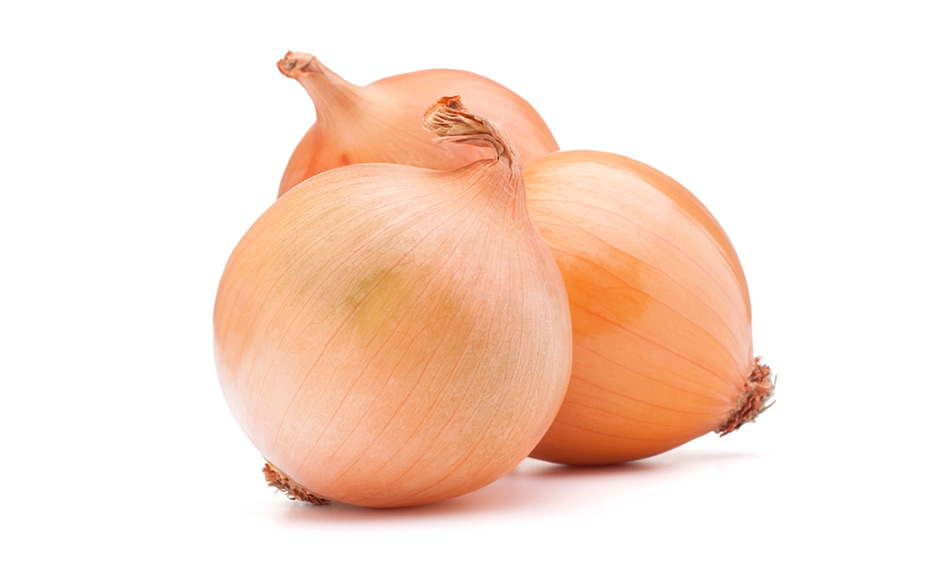 Cebolla