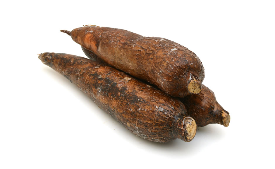 Yuca