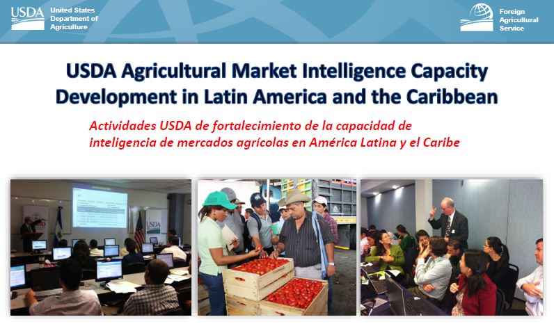 Desarrollo de Capacidades de Inteligencia de Mercado de USAID/USDA para América Latina y el Caribe