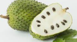 Guanabana